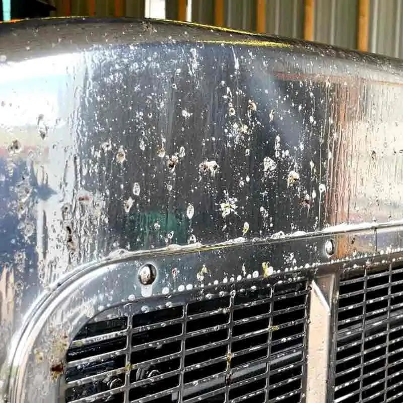 Bug Remover for cars and trucks, image 4